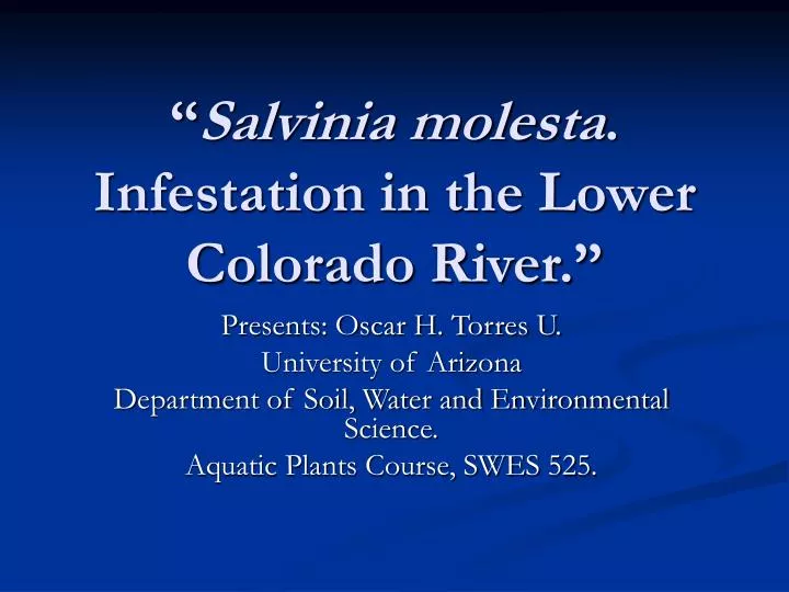 salvinia molesta infestation in the lower colorado river