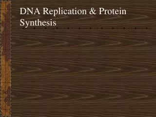 DNA Replication &amp; Protein Synthesis