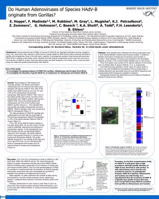 Do Human Adenoviruses of Species HAdV-B originate from Gorillas?