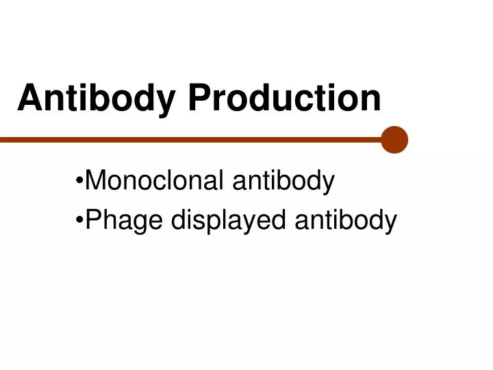 antibody production