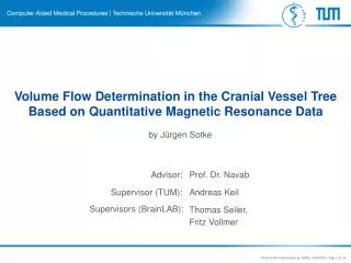 Volume Flow Determination in the Cranial Vessel Tree Based on Quantitative Magnetic Resonance Data