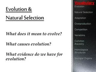 Evolution &amp; Natural Selection What does it mean to evolve? What causes evolution?