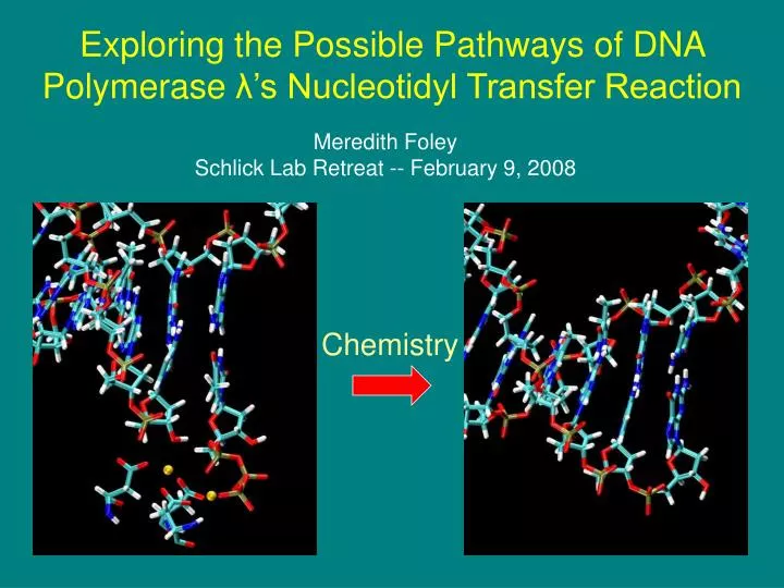 exploring the possible pathways of dna polymerase s nucleotidyl transfer reaction