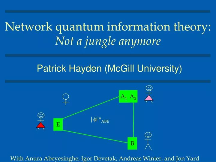 network quantum information theory not a jungle anymore