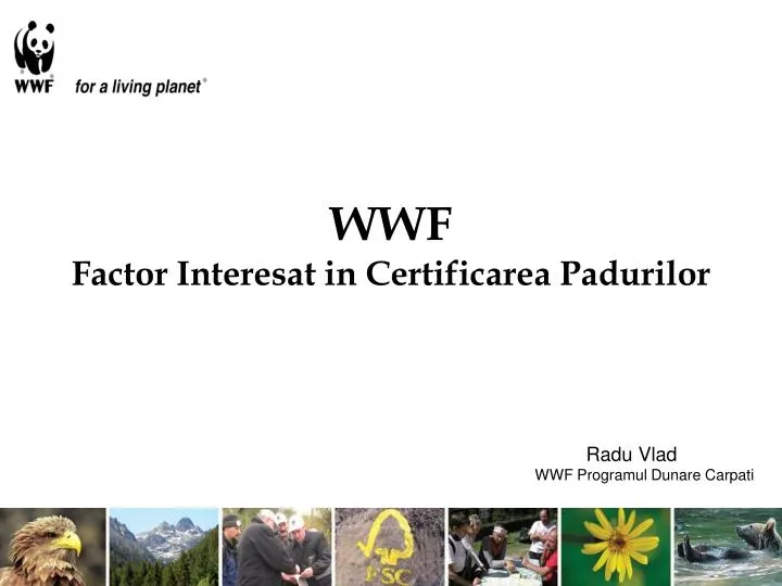 wwf factor interesat in certificarea padurilor