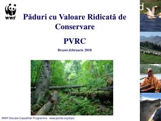 a toolkit for identifying and managing high conservation value forests