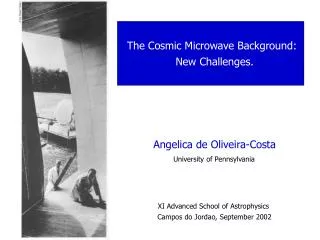 Angelica de Oliveira-Costa