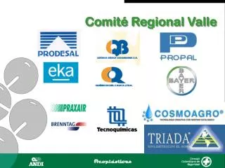 comit regional valle