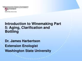 Introduction to Winemaking Part 5: Aging, Clarification and Bottling