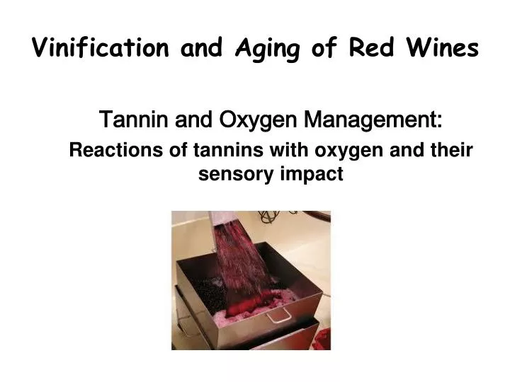 tannin and oxygen management reactions of tannins with oxygen and their sensory impact