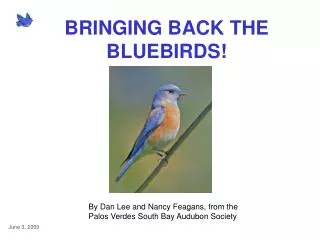 BRINGING BACK THE BLUEBIRDS!