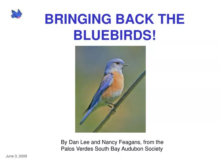 bringing back the bluebirds