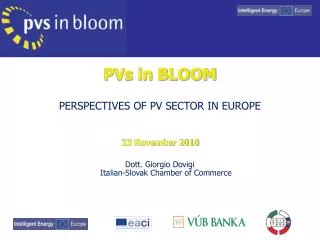 PVs in BLOOM PERSPECTIVES OF PV SECTOR IN EUROPE 23 November 2010