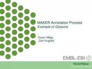 MAKER Annotation Process Example of Glossina