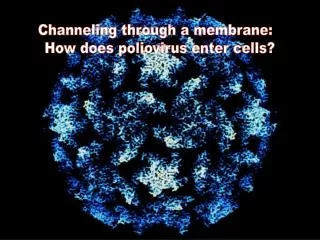 Channeling through a membrane: How does poliovirus enter cells?