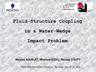 Fluid-Structure Coupling in a Water-Wedge Impact Problem