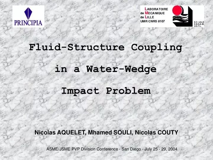 fluid structure coupling in a water wedge impact problem