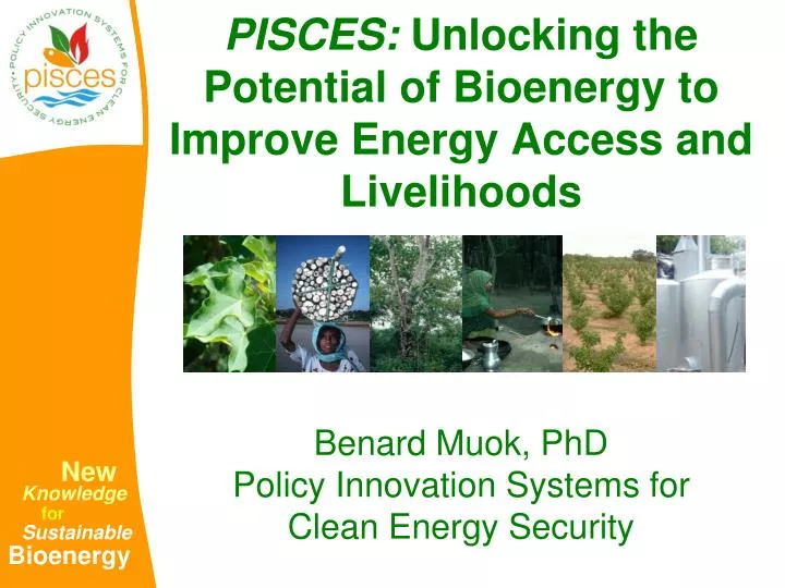 pisces unlocking the potential of bioenergy to improve energy access and livelihoods