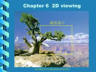 chapter 6 2d viewing