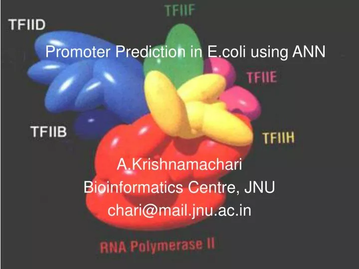 promoter prediction in e coli using ann