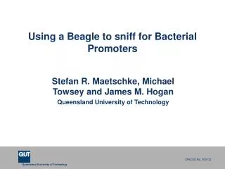 Using a Beagle to sniff for Bacterial Promoters
