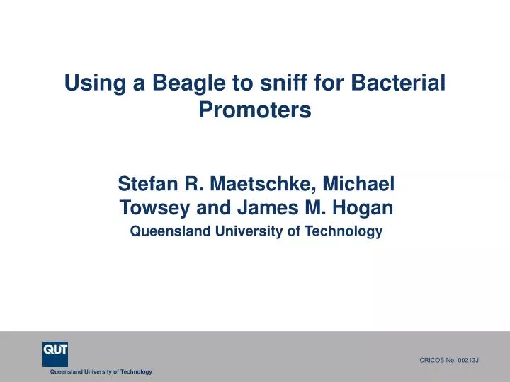 using a beagle to sniff for bacterial promoters