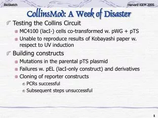 CollinsMod: A Week of Disaster