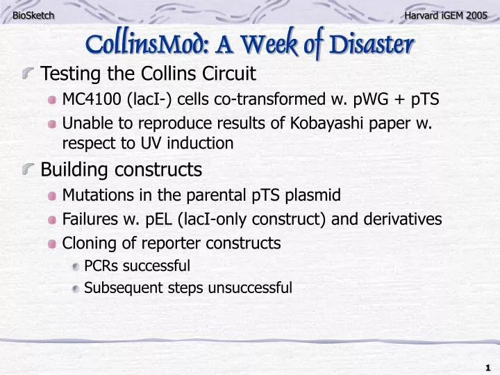 collinsmod a week of disaster