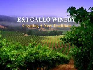 E&amp;J GALLO WINERY Creating A New Tradition
