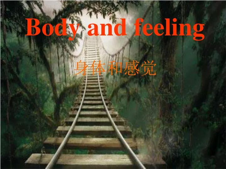 body and feeling