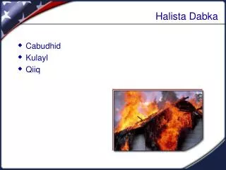 halista dabka
