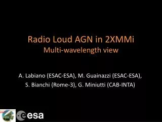 Radio Loud AGN in 2XMMi Multi-wavelength view