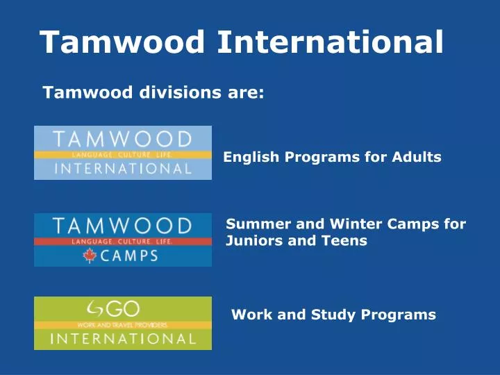 tamwood international