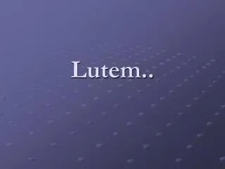 lutem