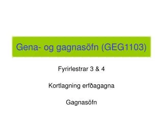 gena og gagnas fn geg1103