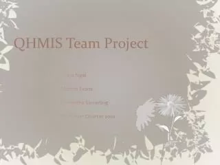 qhmis team project