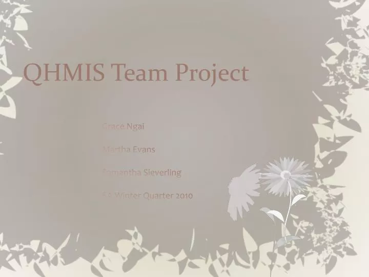 qhmis team project