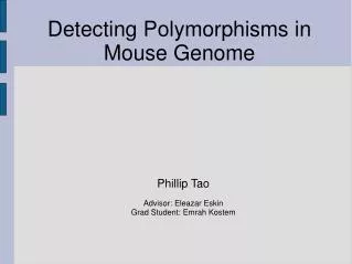 Detecting Polymorphisms in Mouse Genome