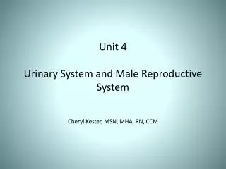 Unit 4 Urinary System and Male Reproductive System