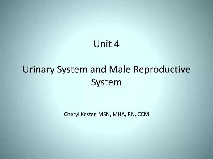unit 4 urinary system and male reproductive system