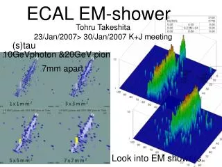 ECAL EM-shower