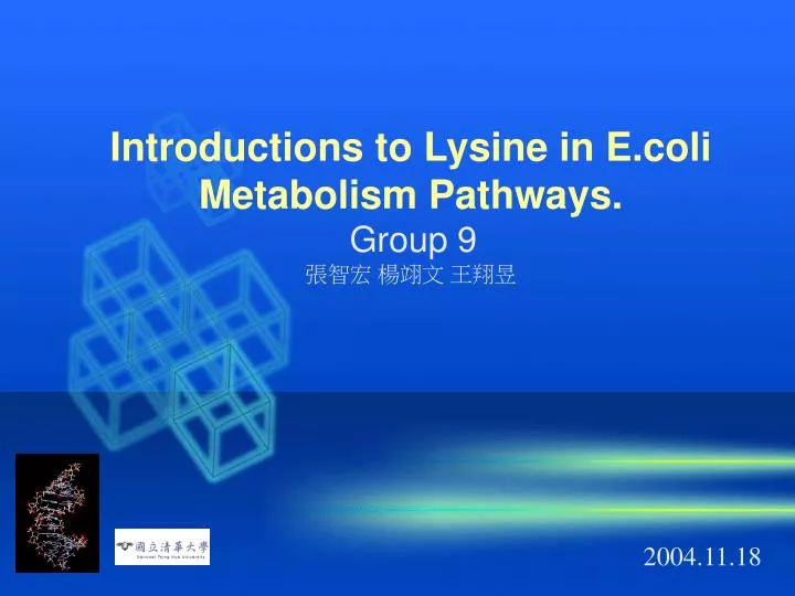 introductions to lysine in e coli metabolism pathways group 9