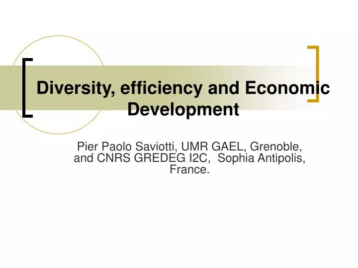 diversity efficiency and economic development