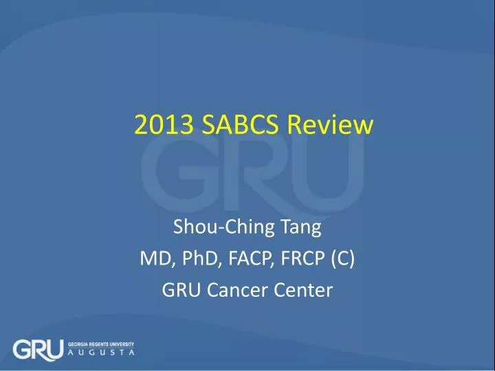 2013 sabcs review