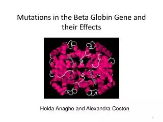 Mutations in the Beta Globin Gene and their Effects