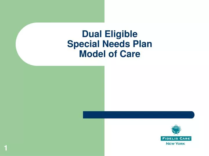 dual eligible special needs plan model of care