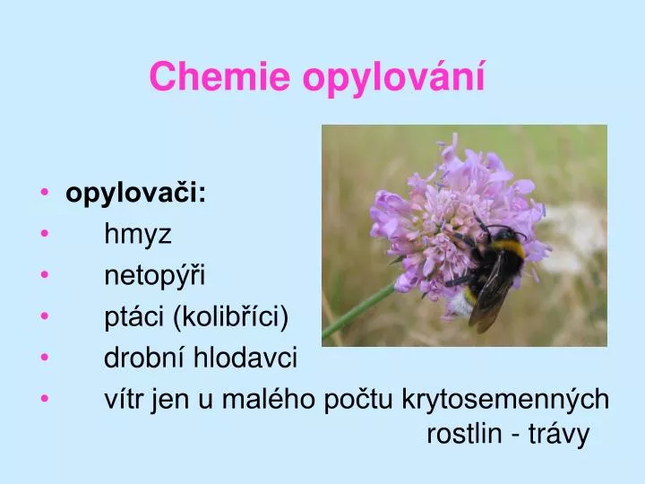 chemie op ylov n