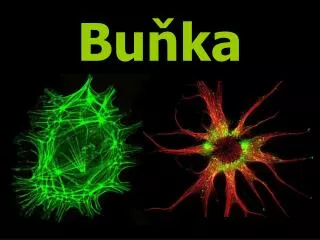 bu ka