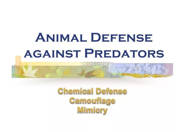 animal defense against predators