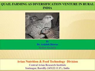 QUAIL FARMING AS DIVERSIFICATION VENTURE IN RURAL INDIA